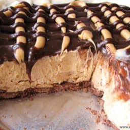 Hot Fudge Peanut Butter Pie