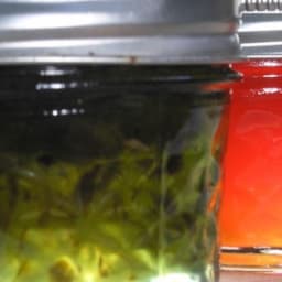 Hot Pepper Jelly Recipe