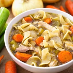 Instant Pot Chicken Noodle Soup