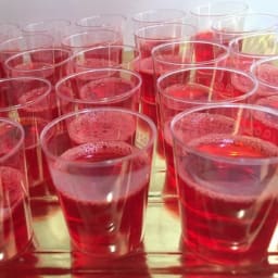 JELL-O Shots