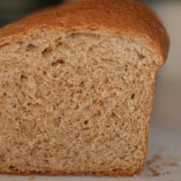 Jenny's Whole Wheat Bread