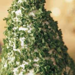 Lemon Basil Tree
