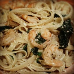 Lemon-Dill Shrimp & Pasta