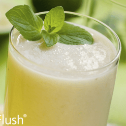 Lemon-Lime Pucker Smoothie