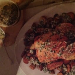 Lemon, Parsley and parmesan chicken