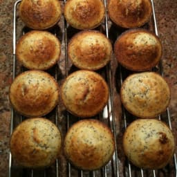 Lemon-Poppy Seed Muffins