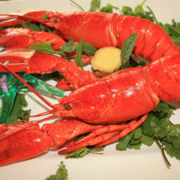 Lobster for Two