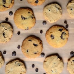 Low Carb Chocolate Chip Cookies - paleo