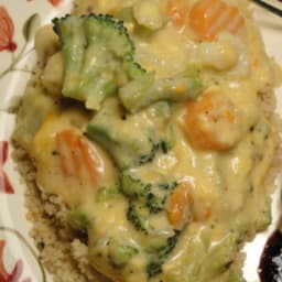 Low Fat Cheesy Veggie Bake (Crock Pot)