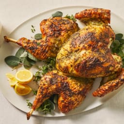 Mayo-Roasted Thanksgiving Turkey With Gravy