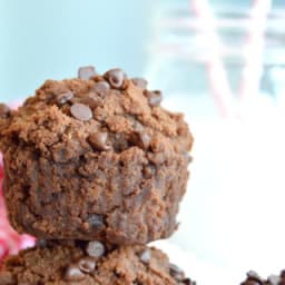 Mini Moist Double Chocolate Coconut Bites (gluten free, dairy free)