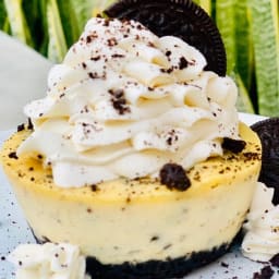 Mini Oreo Cheesecakes