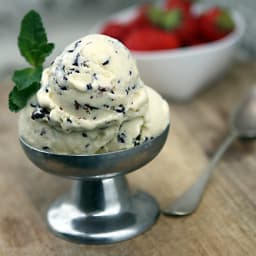 Mint Chip Ice Cream