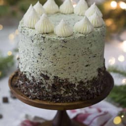 Mint Chocolate Chip Cake