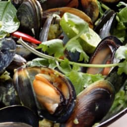 Mussels with green garlic, coriander, kaffir lime and coconut milk recipe