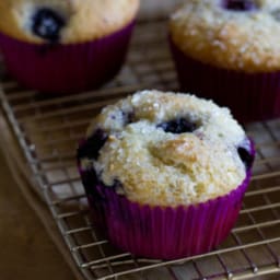 My Favorite Blueberry Muffins