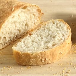 No-Knead Ciabatta