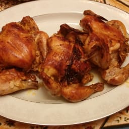 North African Cornish Hens