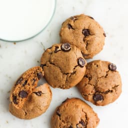 Paleo Coconut Flour Chocolate Chip Cookies