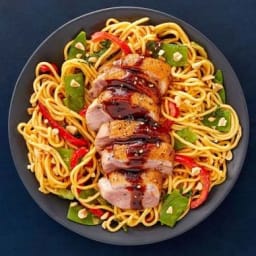 pan-seared-duck-amp-lo-mein-noodles-with-peanut-sauce-amp-vegetables-2783378.jpg
