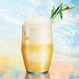 Peach and Fizzy Grapefruit Float