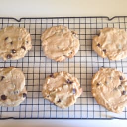 Peanut Butter Chocolate Chip Cookies