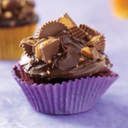 Peanut Butter Cup Chocolate Cupcakes Recipe