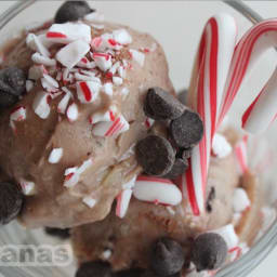 Peppermint Cocoa Yonanas