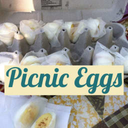 Picnic Eggs
