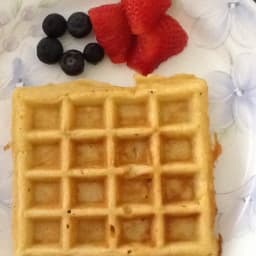 Plain Waffles