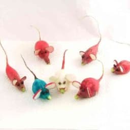 Radish Mice Decorations