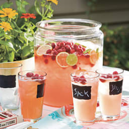 Raspberry Lemonade Punch