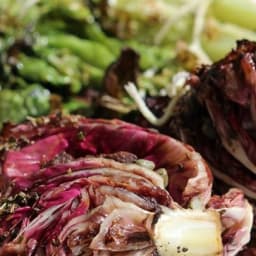 Roasted Lettuce, Radicchio, and Endive