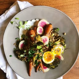 Roasted Vegetables and Herb Yogurt Bowl