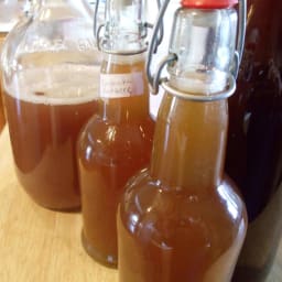 Root Beer Kombucha