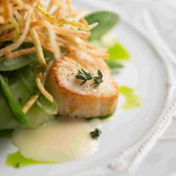 Seared Sea Scallop Salad with Honey-Lime Dressing Recipe