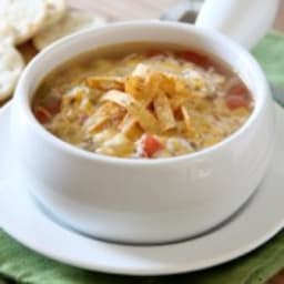 Slow Cooker Chicken Tortilla Soup