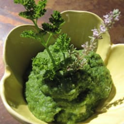 Sneaky Chef's  Make-Ahead  Green Puree