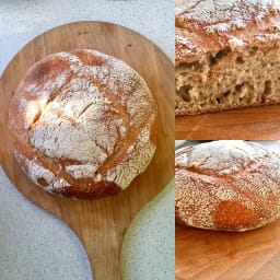 sourdough-bread-a18544b0b03ee83a0e322bb3.jpg