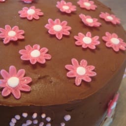 Strawberry Ice-Cream Cake covered in chocolate ganache