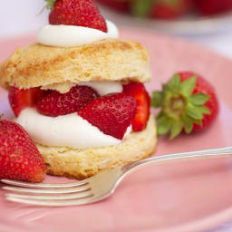 Strawberry Shortcake