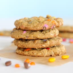 Sunbutter Oatmeal Cookies