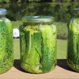 Tamara's Sunny or Sous Vide Dill Pickles