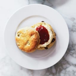 Traditional English Scones