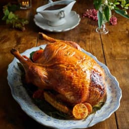 Ultimate roast turkey