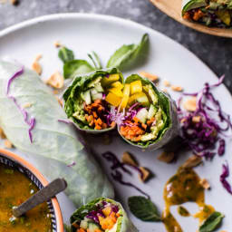 Veggie Spring Rolls with Thai Mango Dipping Sauce