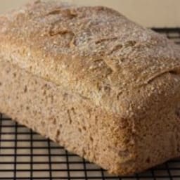 Whole Wheat Bread