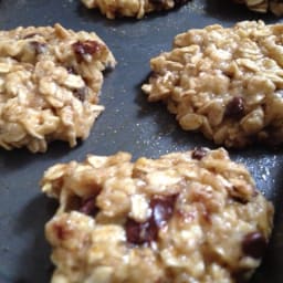 WW Oatmeal Cookies