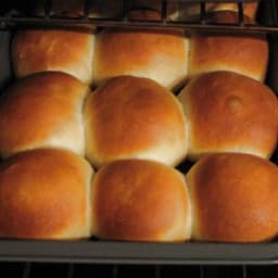 Yeast Rolls