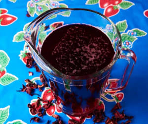Agua-de-Jamaica-Recipe